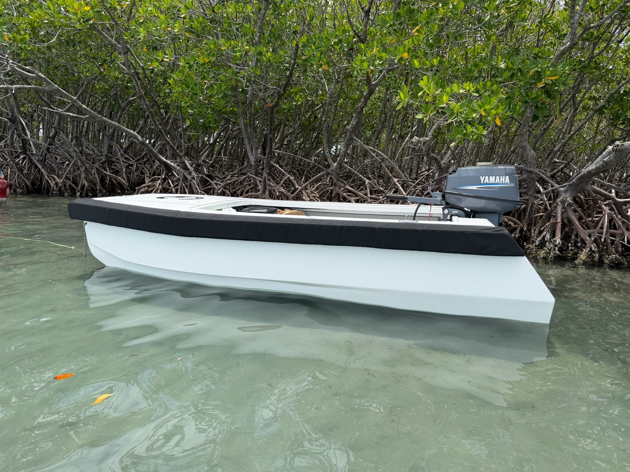 Cape Cat 115 lying alongside the mangroves in clear water