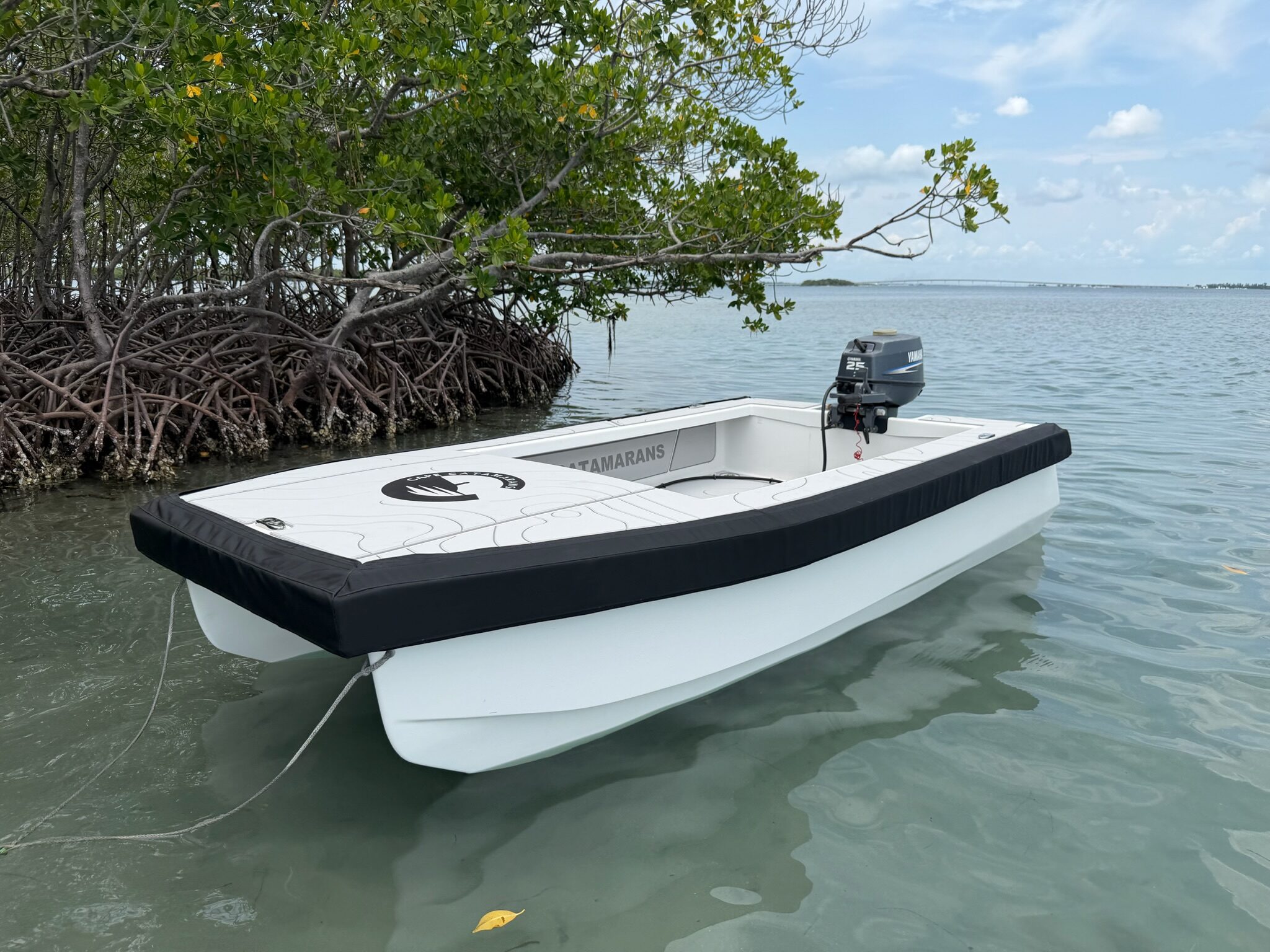 Cape Cat 115 at rest on glassy water