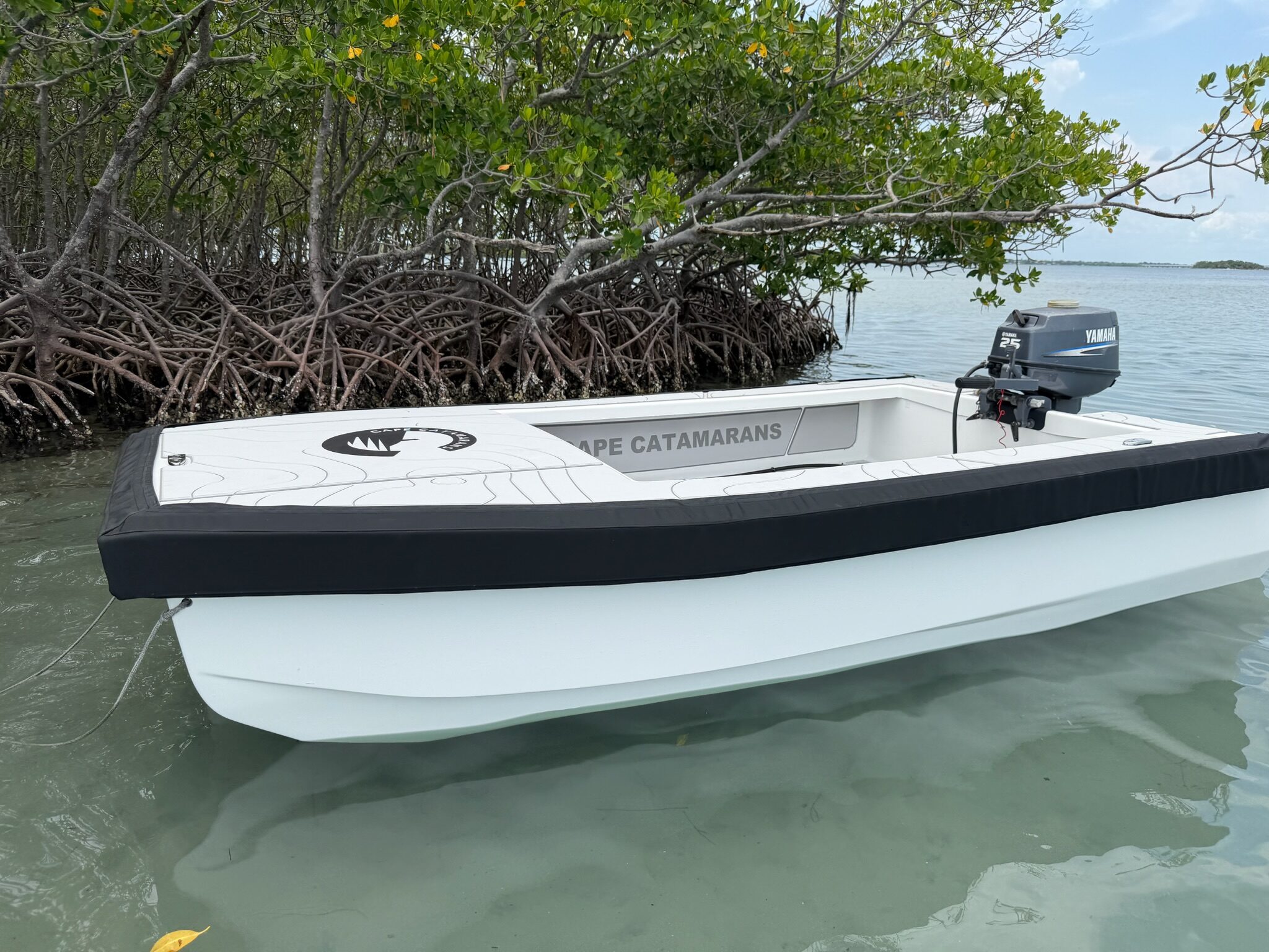 Cape Cat 115 three-quarter astern against the mangroves