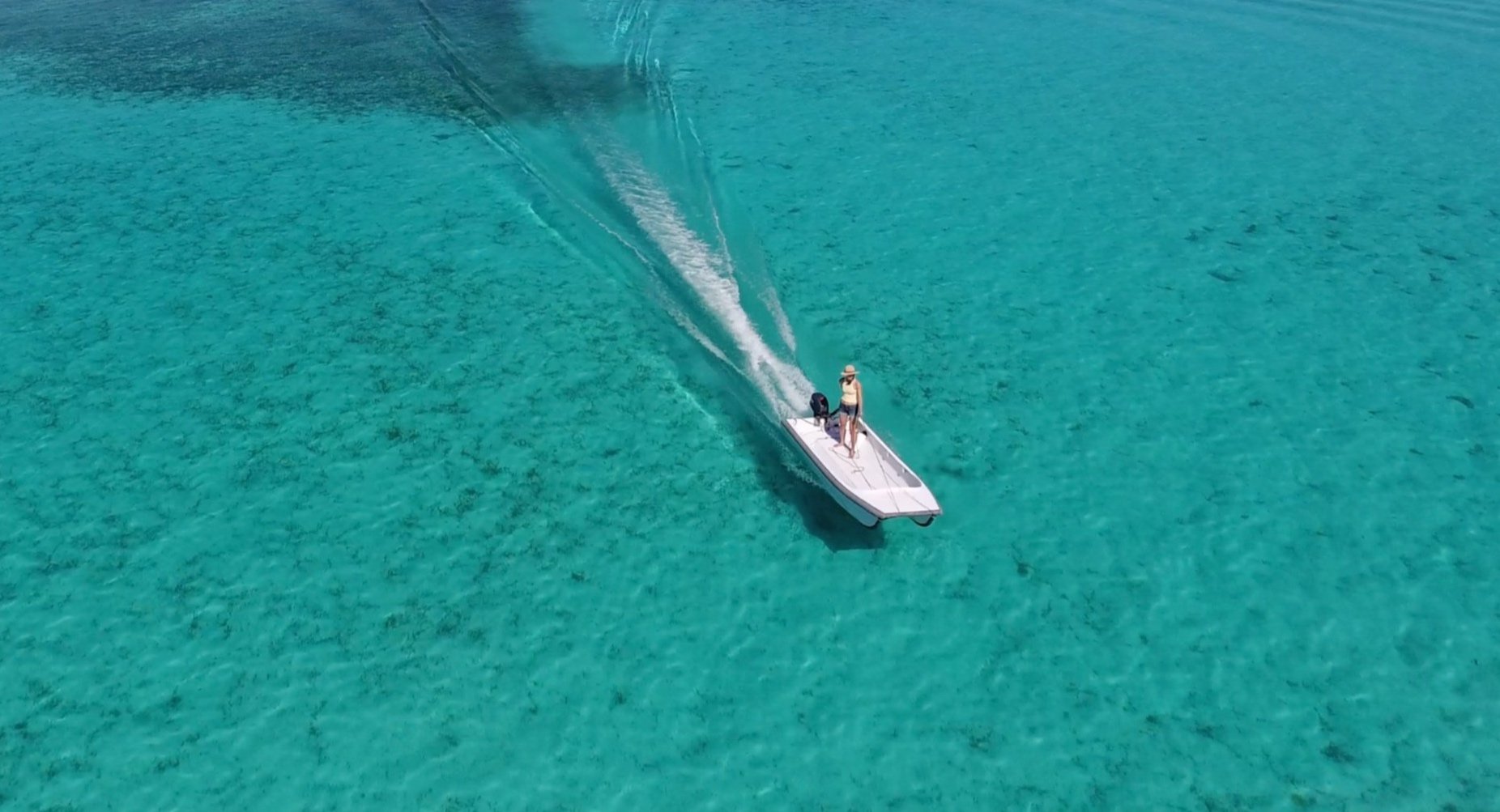 Cape Cat at speed over clear water