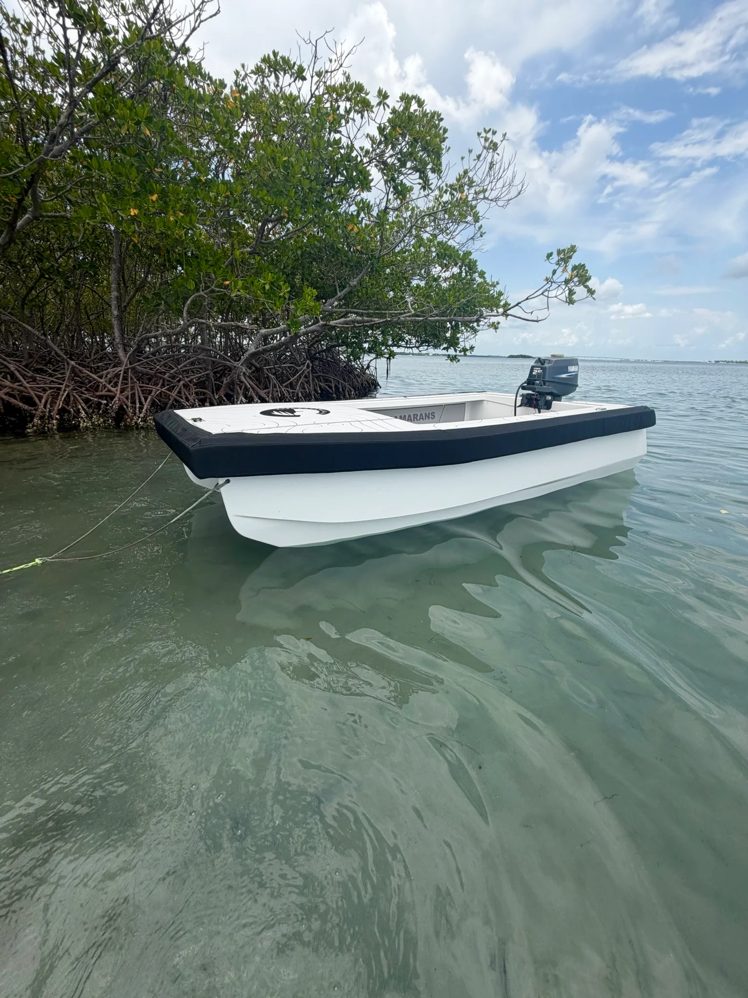 Cape Cat 115 in the mangrove